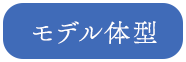 モデル体型